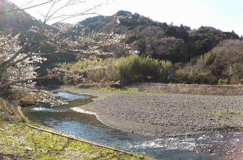 Photo 38 - Yui Valley