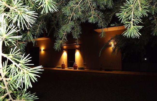 Tenuta i Lecci di Gurian Roberta Maura - Foto 106