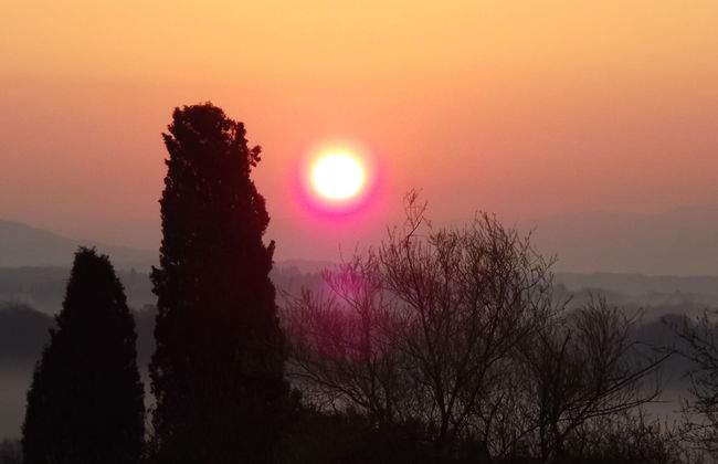 Tenuta i Lecci di Gurian Roberta Maura - Foto 118