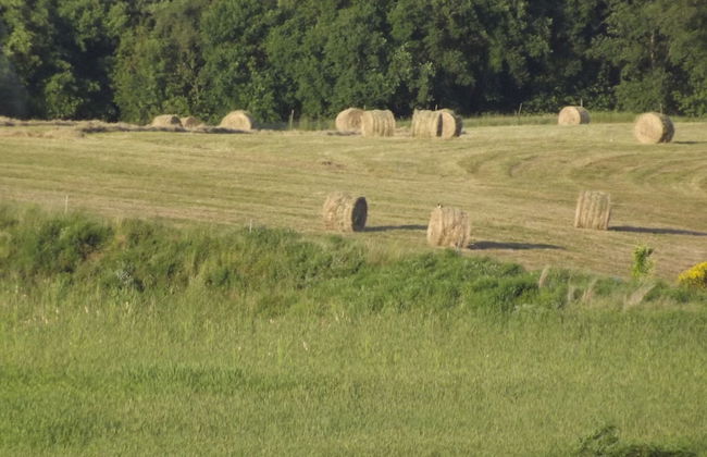 Tenuta i Lecci di Gurian Roberta Maura - Foto 92