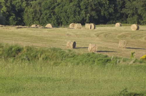 Foto 46 - Tenuta i Lecci di Gurian Roberta Maura