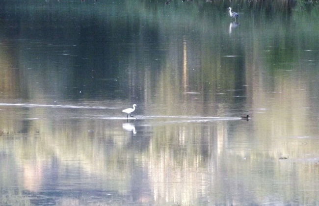 Tenuta i Lecci di Gurian Roberta Maura - Foto 76