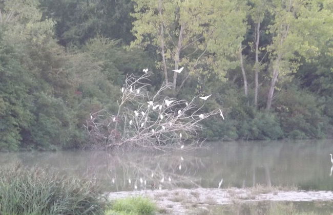 Tenuta i Lecci di Gurian Roberta Maura - Foto 104