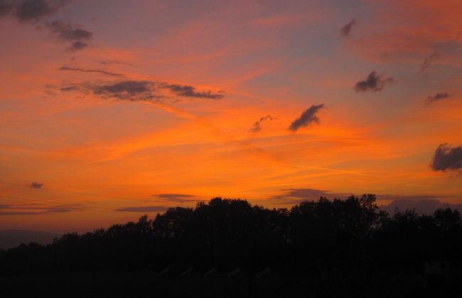 Tenuta i Lecci di Gurian Roberta Maura - Foto 116