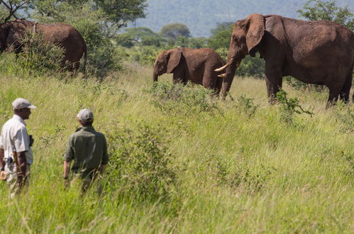 Photo 12 - Elewana Tarangire Treetops