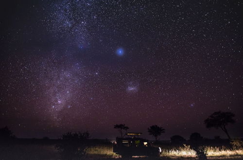 Photo 27 - Elewana Tarangire Treetops