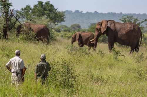 Photo 10 - Elewana Tarangire Treetops