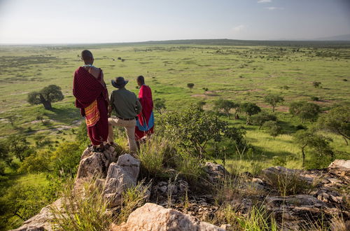 Photo 22 - Elewana Tarangire Treetops