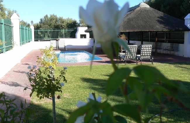 Olive Grove Guest Farm - Foto 15