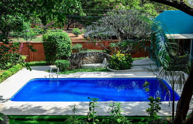 Fig Tree Residences - Photo 17