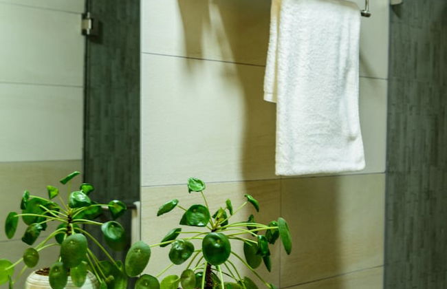 Fig Tree Residences - Photo 14