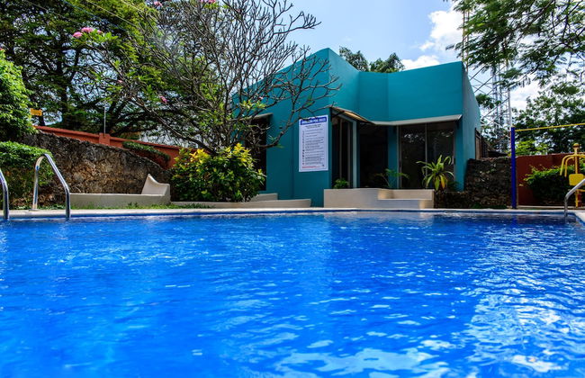 Fig Tree Residences - Photo 16