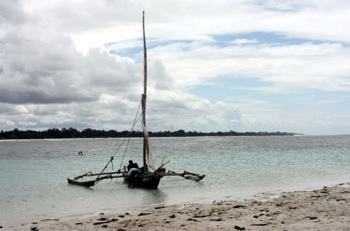 Photo 66 - Jamboland-Diani