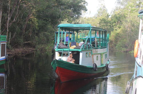 Photo 7 - Houseboat Bee Kelotok