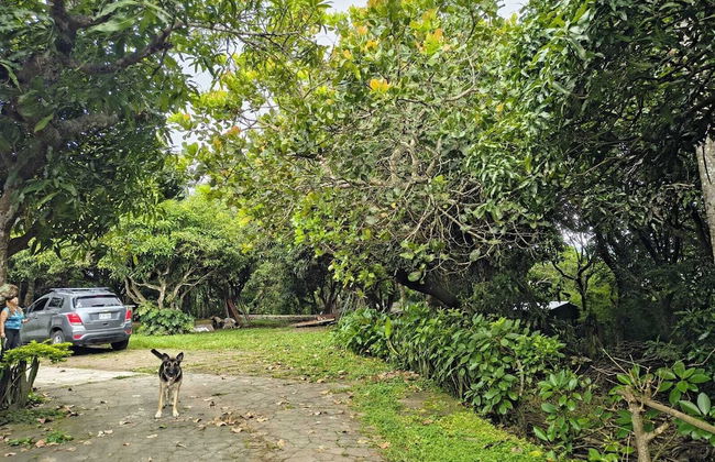 Quinta Kartagus - Foto 23