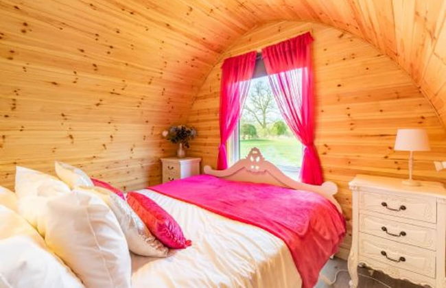 Host Stay Dragonfly Spa Lodge - Foto 14