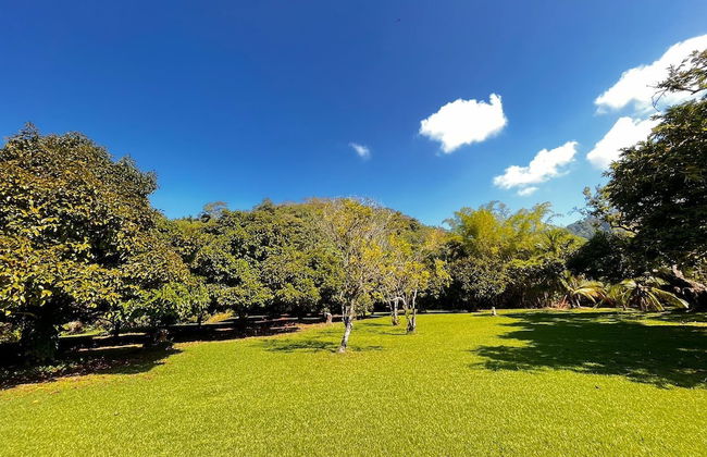 Casa Mangostan - Foto 1