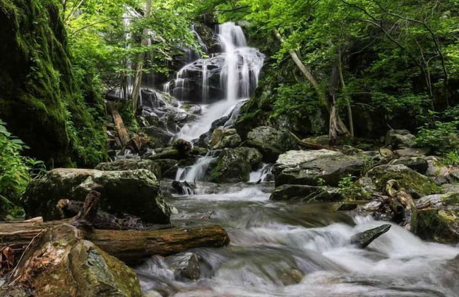 The HIJAU Camp & Cabin - Foto 27