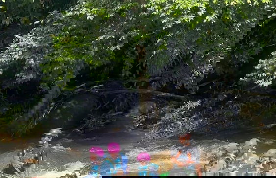 The HIJAU Camp & Cabin - Foto 25