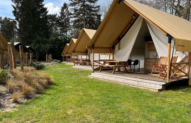 EuroParcs De Utrechtse Heuvelrug - Foto 12