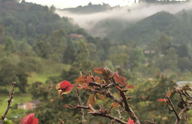 Casa Tien - Foto 60