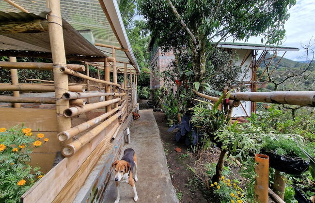 Casa Tien - Foto 61