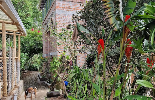 Casa Tien - Foto 63