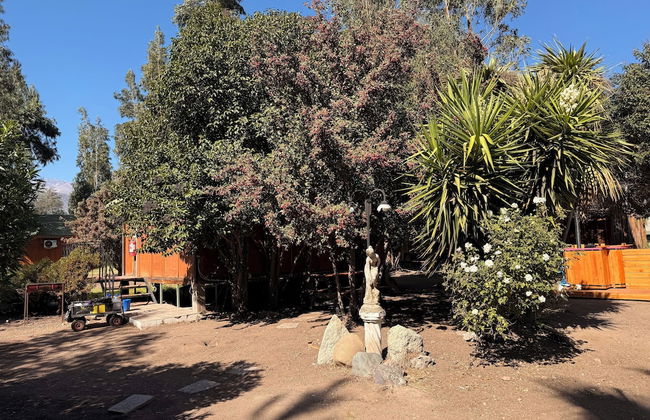 Cabañas Los Olmos - Foto 21