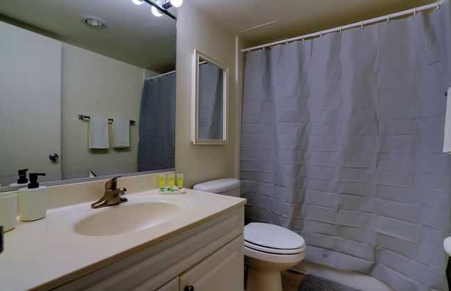 Close to Airport in Crystal City - Foto 36