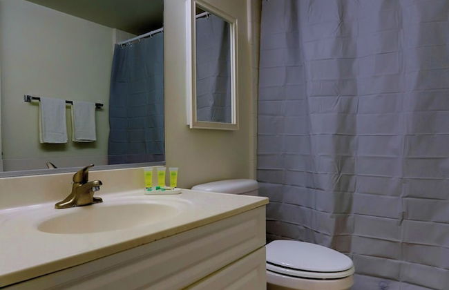 Close to Airport in Crystal City - Foto 37