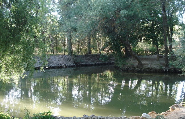 El Rincon del Labrador - Foto 1
