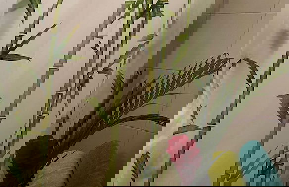 Casa Vitall Tamesis - Foto 21