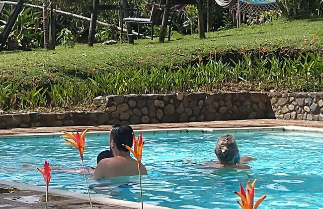 Casa Vitall Tamesis - Foto 50