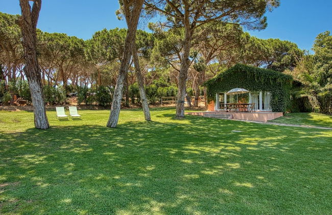Quinta da Bicuda - Foto 1