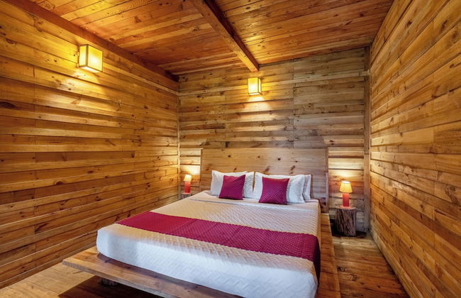 Alaya Stays Suro Woodbine Chalet Cottage - Photo 5