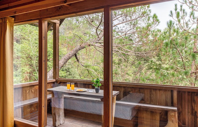 Alaya Stays Suro Woodcrest Chalet - Photo 44