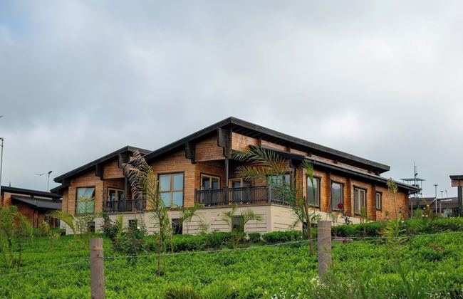 Ridge Cabin Resort - Photo 17