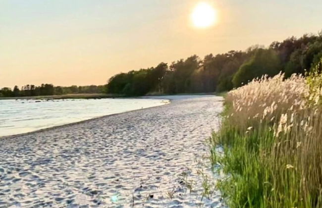 4 Star Holiday Home in Solvesborg - Foto 17