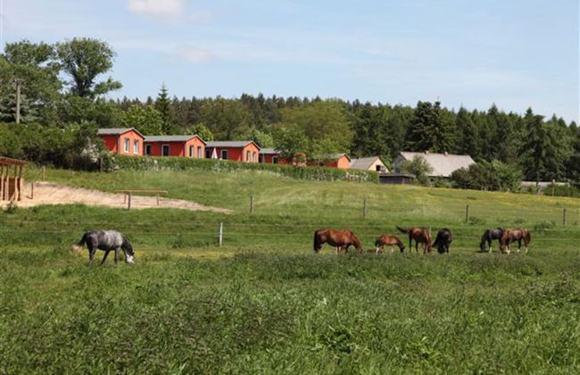 Ferienhaus am Garder See Inselblick - Foto 33