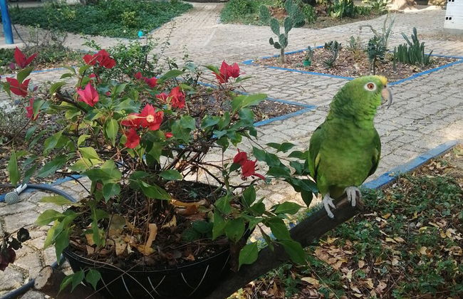 FINCA ECOTURISTICA LOS JAGUEYES - Foto 10
