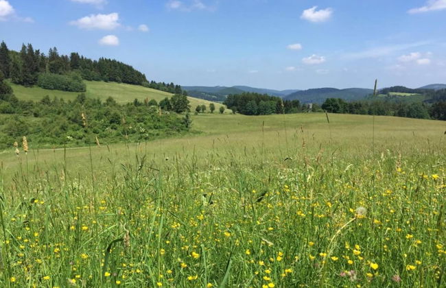 Apartment in Heringhausen Near Ski Lift - Foto 26