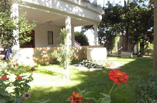 Photo 14 - Ivo - With Nice Garden - A2