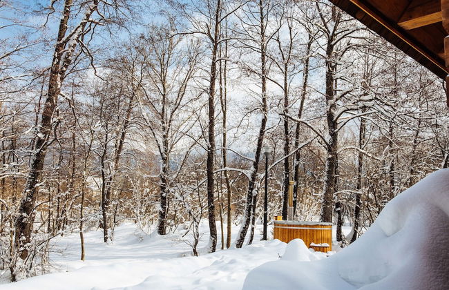 Vodenica Vrelo Chalets - Foto 29