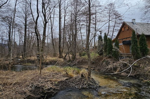 Photo 44 - Vodenica Vrelo Chalets