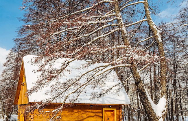 Vodenica Vrelo Chalets - Foto 47
