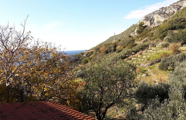 Apartmani Bako Komiza - Foto 61