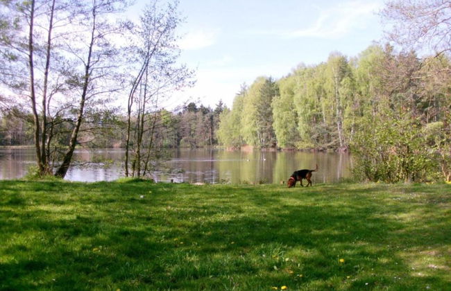 Serene Stay With Garden - Foto 35