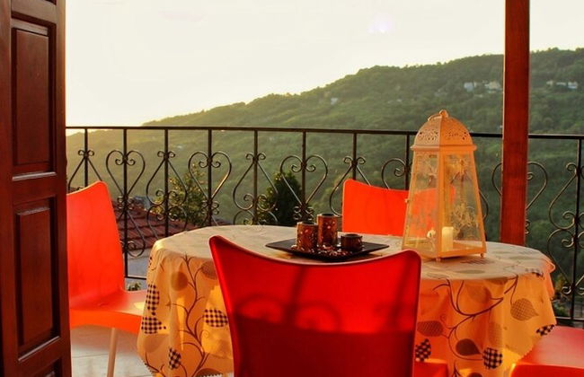 House of Gardenia - Photo 9