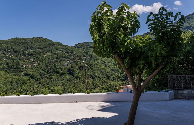 House of Gardenia - Photo 22