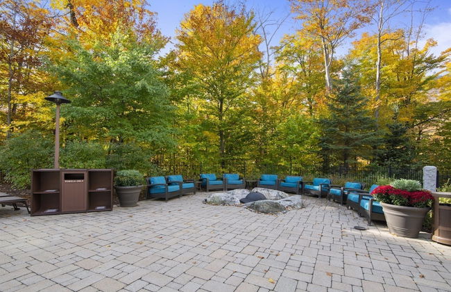 1228/1230 Double Studio @ The Lodge at Spruce Peak - Foto 10